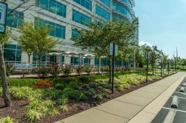 Commercial Landscape Installation/Maintenance