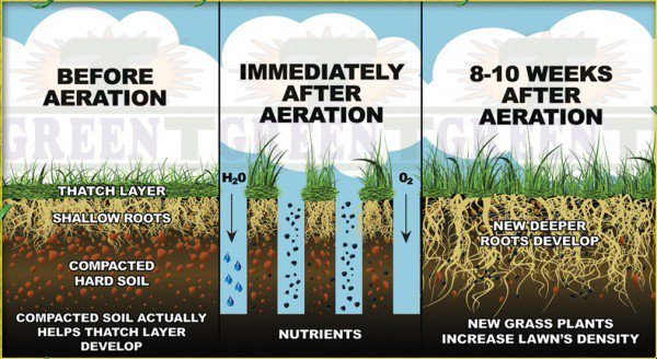 Proper aeration store