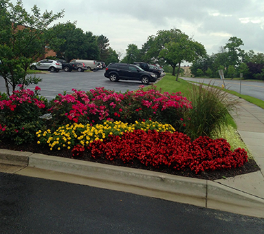 Commercial landscaping design for Glenwood businesses