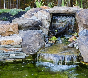 Water feature