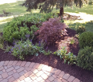 Landscaping design for Glenwood homes