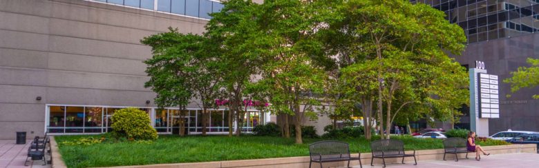Commercial landscaping in Glenwood