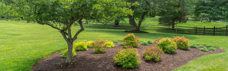 Landscape installation in West Friendship