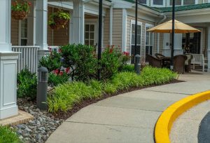 commercial landscaping