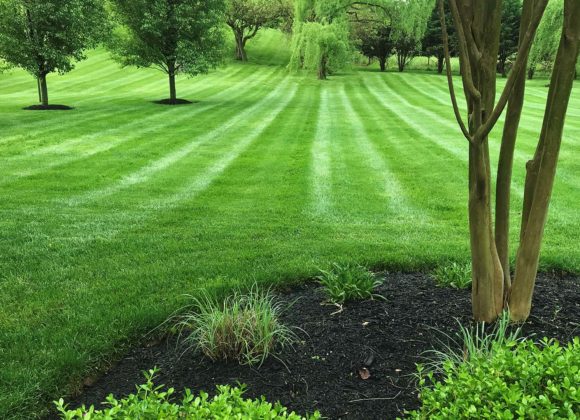 Landscape maintenance for Sykesville, MD