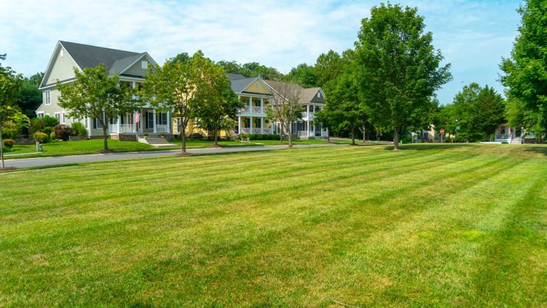 Commercial landscape maintenance in Clarksville, Maryland