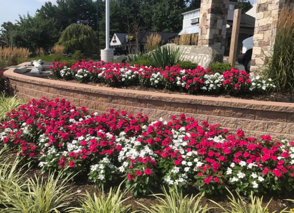 Landscaping Services in Clarksville, MD