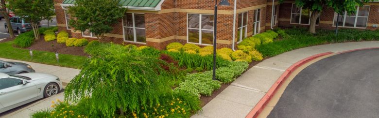 Commercial Landscape Maintenance around building near parking lot in Columbia, Eldersburg, Mt. Airy, Howard County