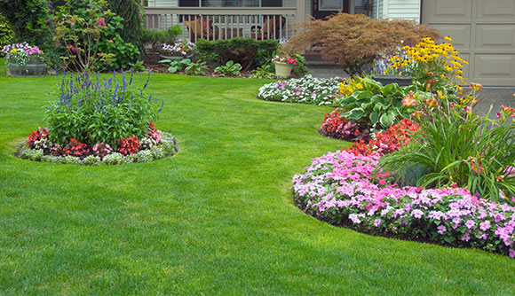 colonial home landscaping