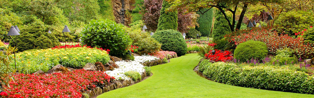 Landscape Design in Clarksville, MD, Ellicott City, Glenwood, MD, Glenelg