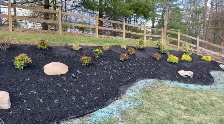 Plants Planted in Black Mulch Near a Fence After Landscape Installation in Olney, Brookville, Fulton, Clarksville, Woodbine, Highland