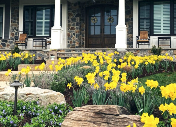 Landscaping Services in Sykesville, Ellicott City, Glenwood, MD, Glenelg