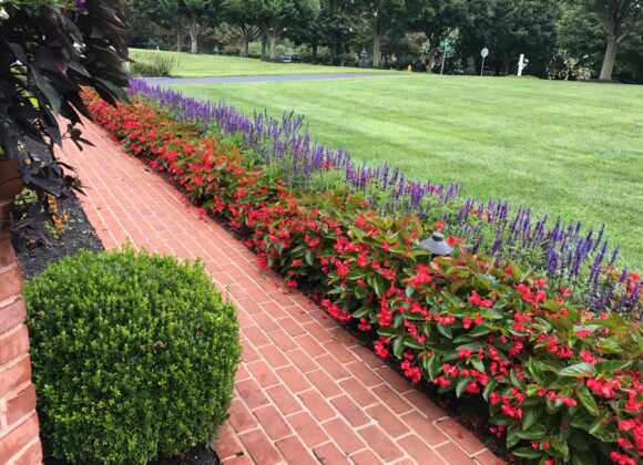HOA Landscaping and HOA Landscape Maintenance