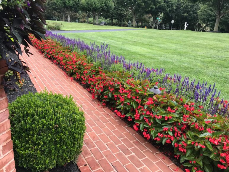 Flowers and Cut Grass Around Walkway After Commercial Landscape Maintenance in Columbia, MD