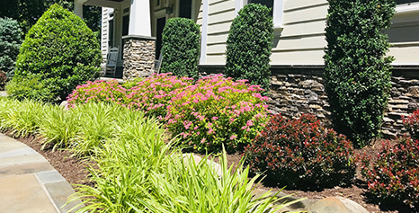 Landscaper serving Brookeville, MD