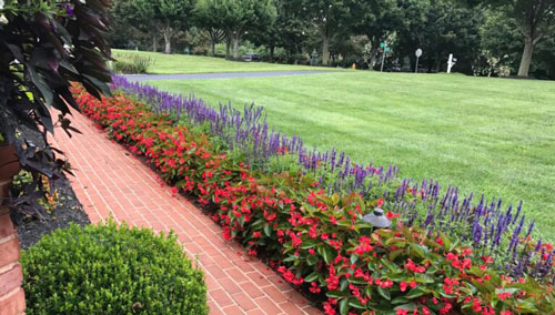 Walkway with Flowers Next to Green Grass with a Landscape Design in Marriottsville, Howard County, Glenwood, Clarksville, MD, and Ellicott City