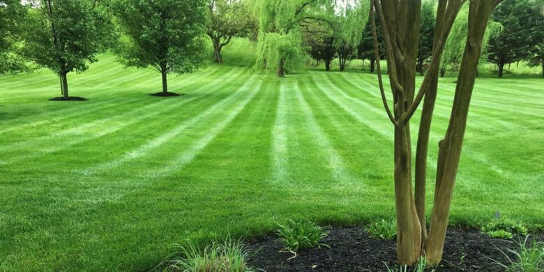 Green Grass with Trees for Landscaping in Marriottsville, Howard County, Glenwood, Clarksville, MD, and Ellicott City