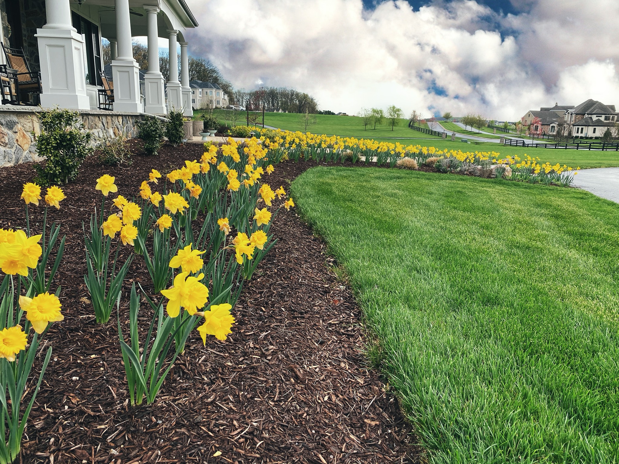 Link to Landscape Planning in Howard County: What to Do Now for a Stress-Free Spring