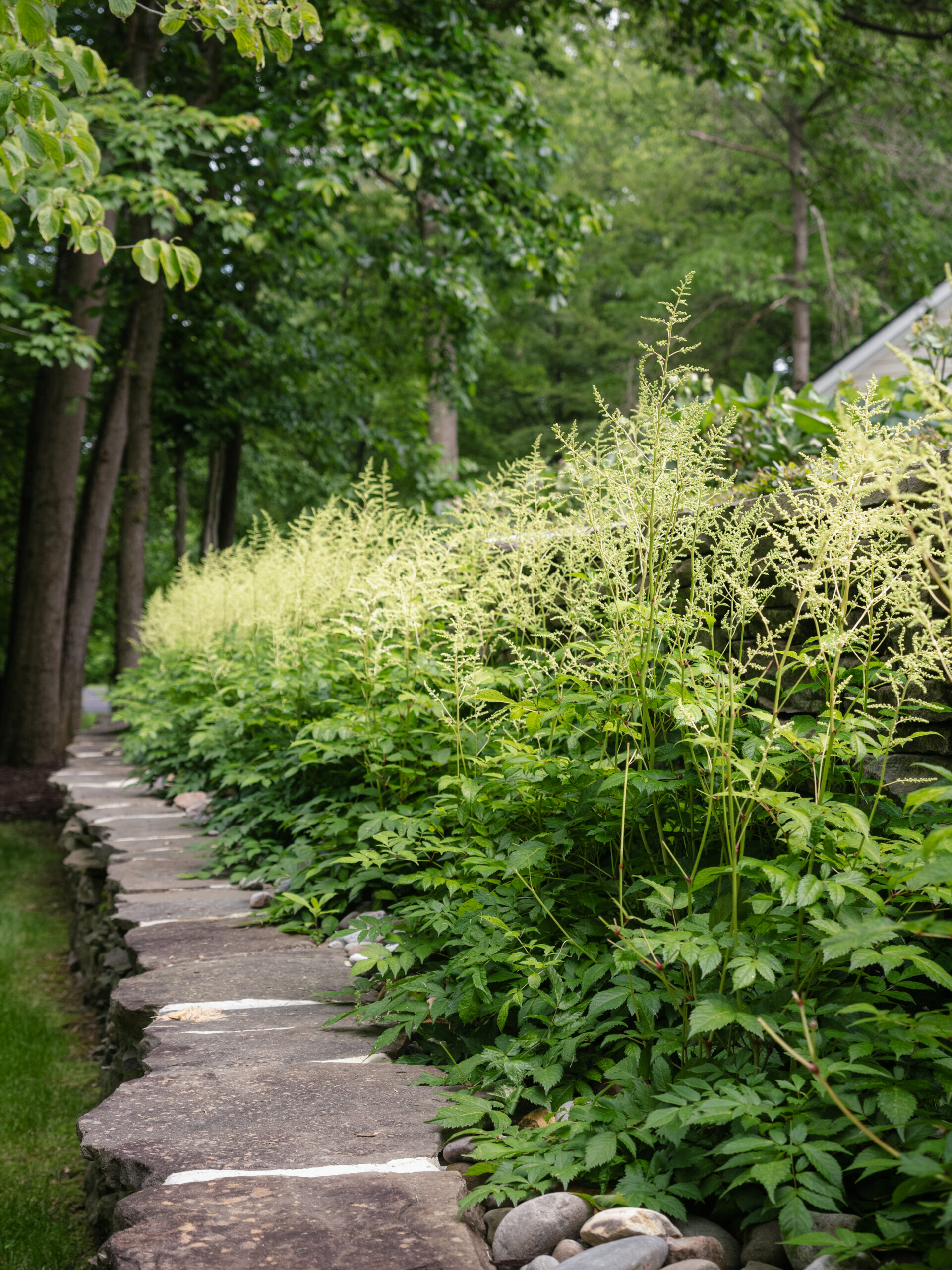 Link to Why Planting in Early Spring Is Better Than Late Spring